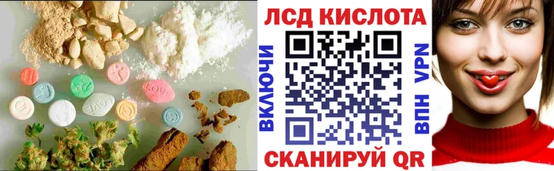 даркнет клад  цена   Зверево  ЛСД экстази кислота 