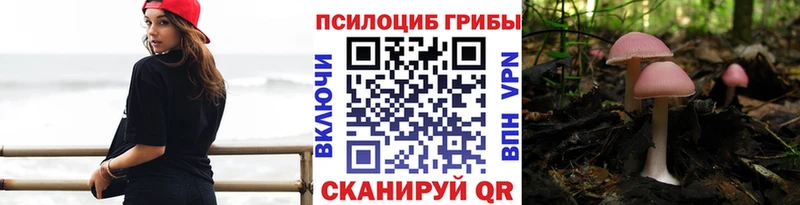Псилоцибиновые грибы Cubensis  где продают наркотики  Зверево 